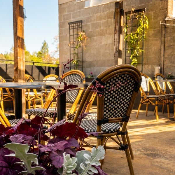 Outdoor patio with checkered chairs, tables, and lush green and purple plants under sunlight.