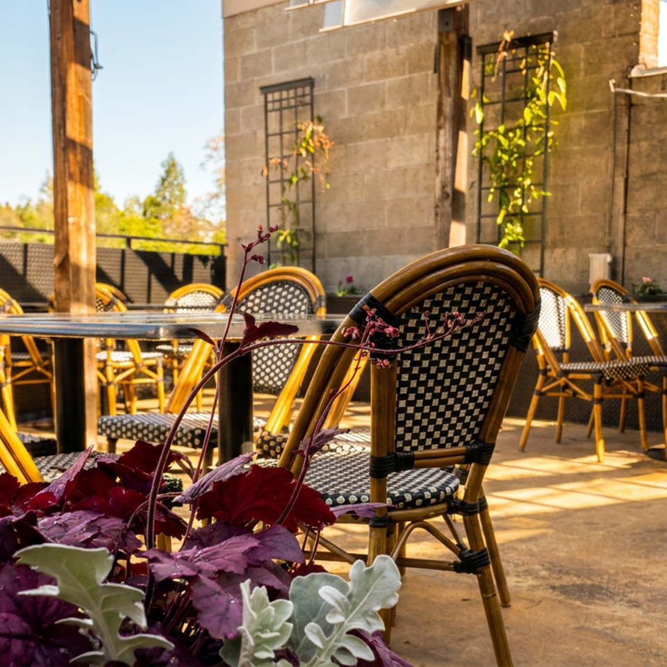 Outdoor patio with checkered chairs, tables, and lush green and purple plants under sunlight.